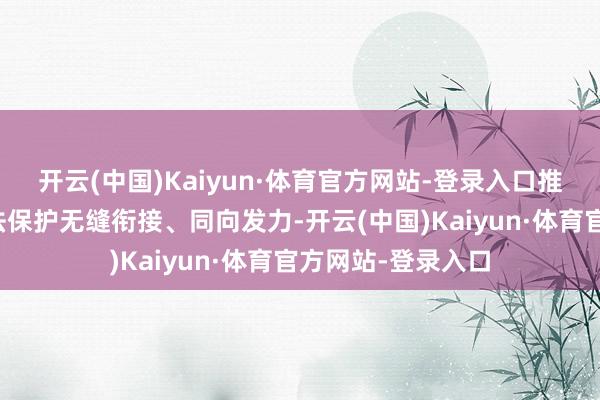 开云(中国)Kaiyun·体育官方网站-登录入口推动行政国法与司法保护无缝衔接、同向发力-开云(中国)Kaiyun·体育官方网站-登录入口