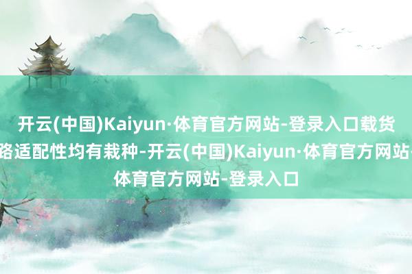 开云(中国)Kaiyun·体育官方网站-登录入口载货智商和航路适配性均有栽种-开云(中国)Kaiyun·体育官方网站-登录入口